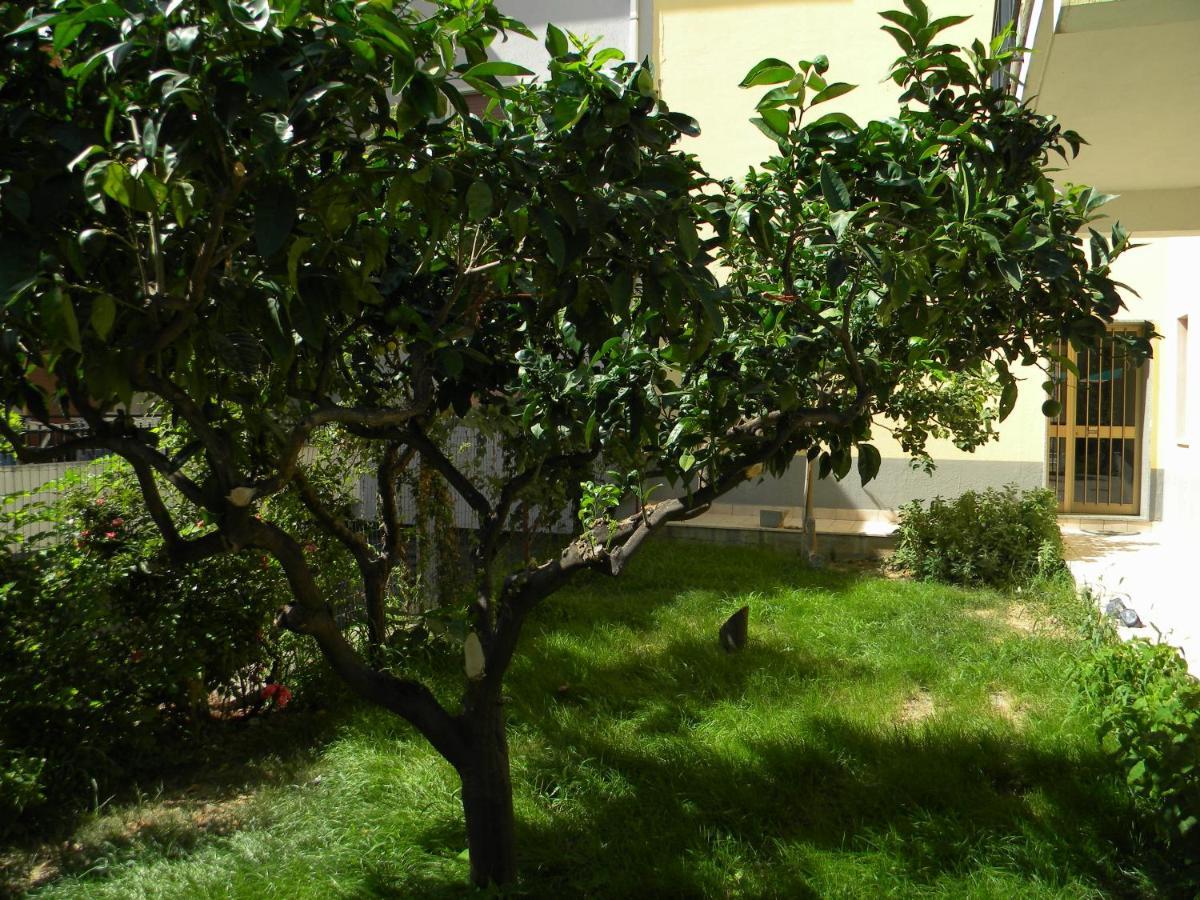 B&B Il Giardino Diamante Esterno foto